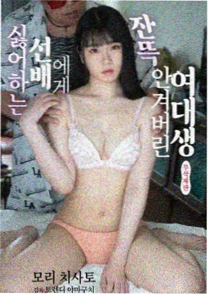十二集实验短剧封面